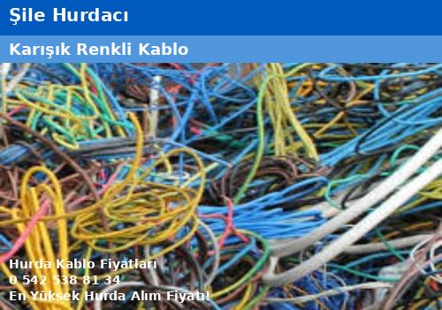 Şile Hurdacı