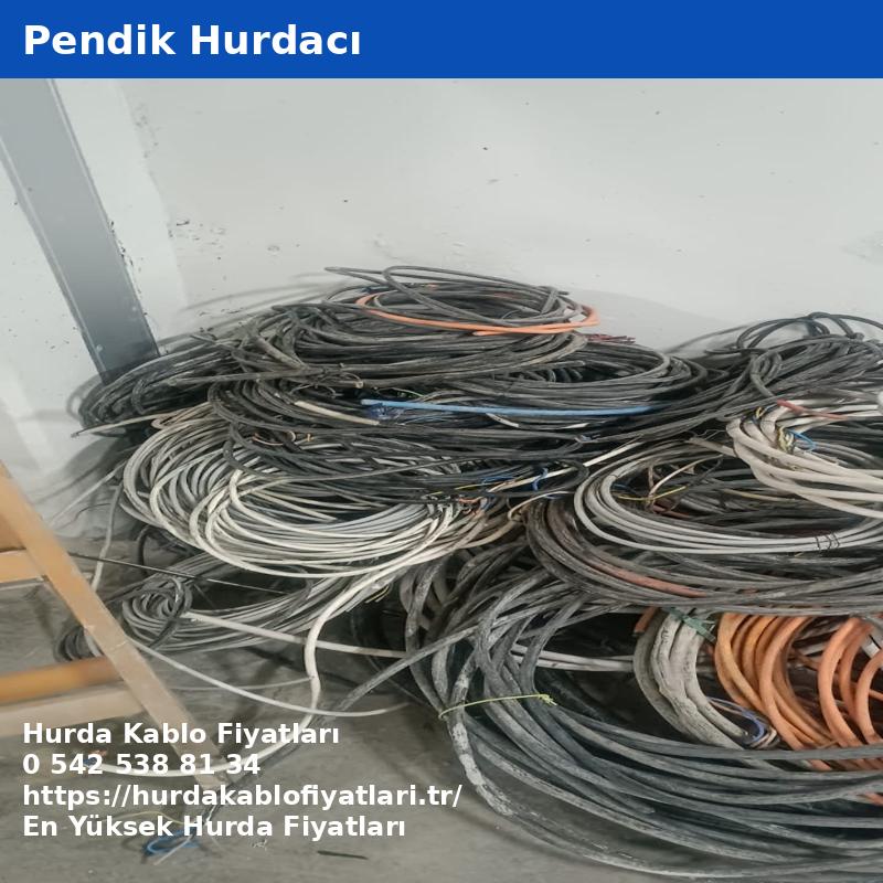 Pendik Hurdacı